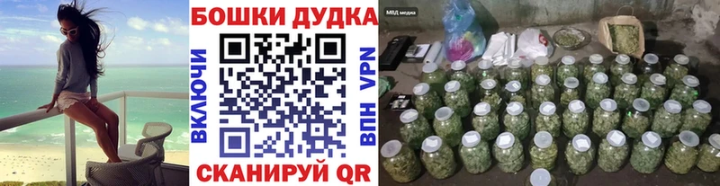 Бошки Шишки планчик  закладки  Володарск 